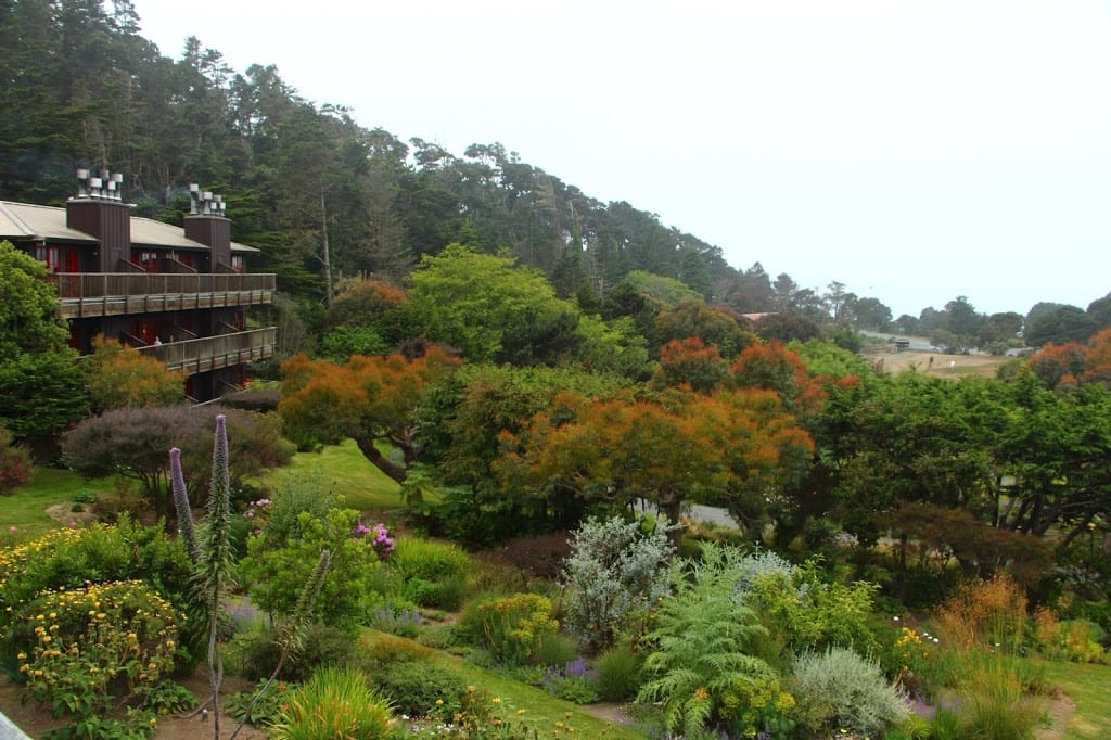 View from Stanford Inn by the Sea overlooking the ocean