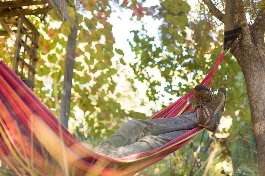Hammock near the grape arbor at Eden Vale Inn