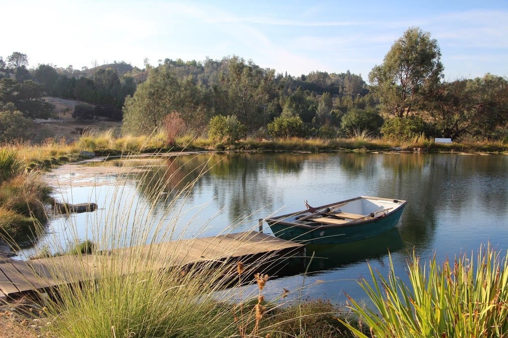 Swimming pond and rowboat at Eden Vale Inn