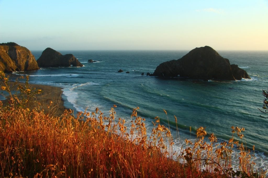 Greenwood State Beach from the bluff trail