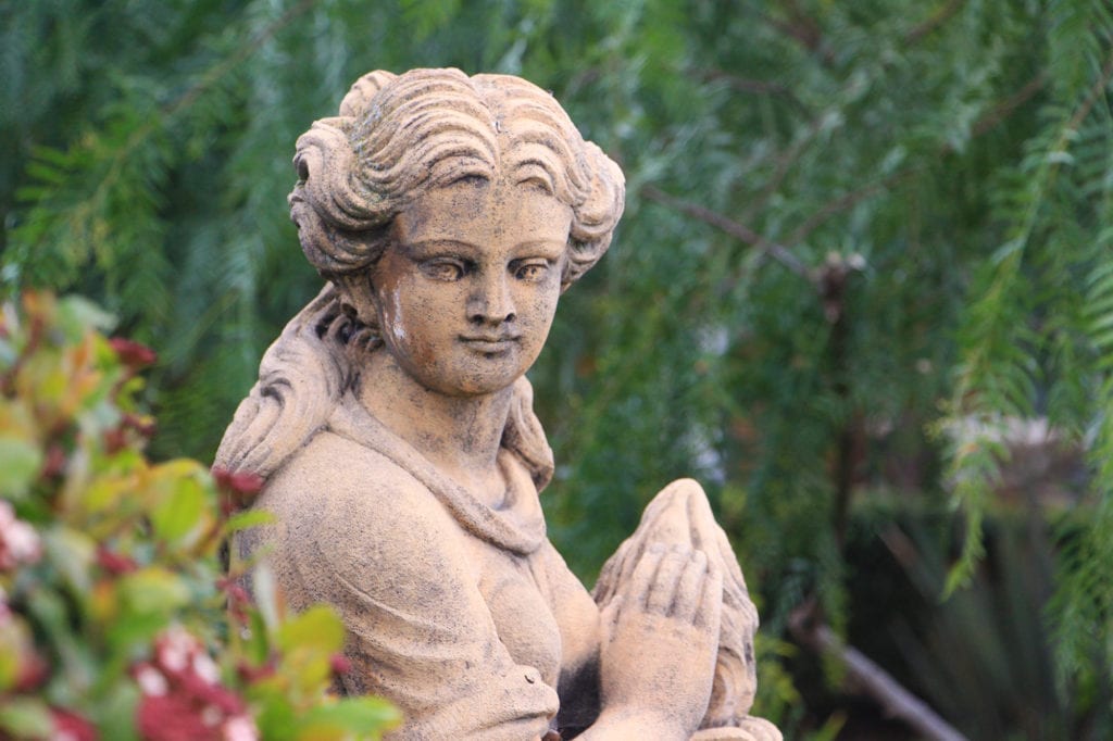 Garden detail at the Purple Orchid Wine Country Resort & Spa