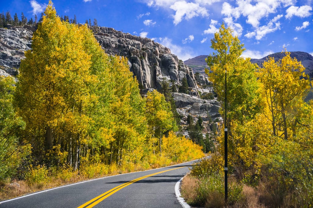 Fall colors near Sonora Pass