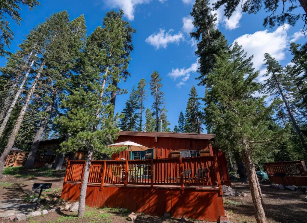 Cottage beneath the pines at Kit Carson Lodge