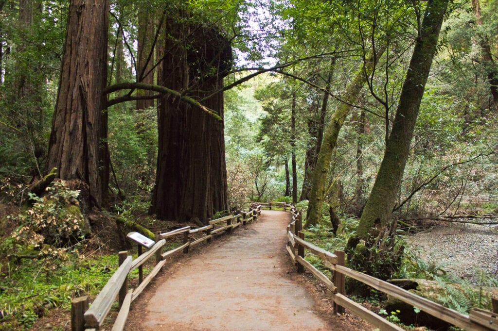 Muir Woods National Monument