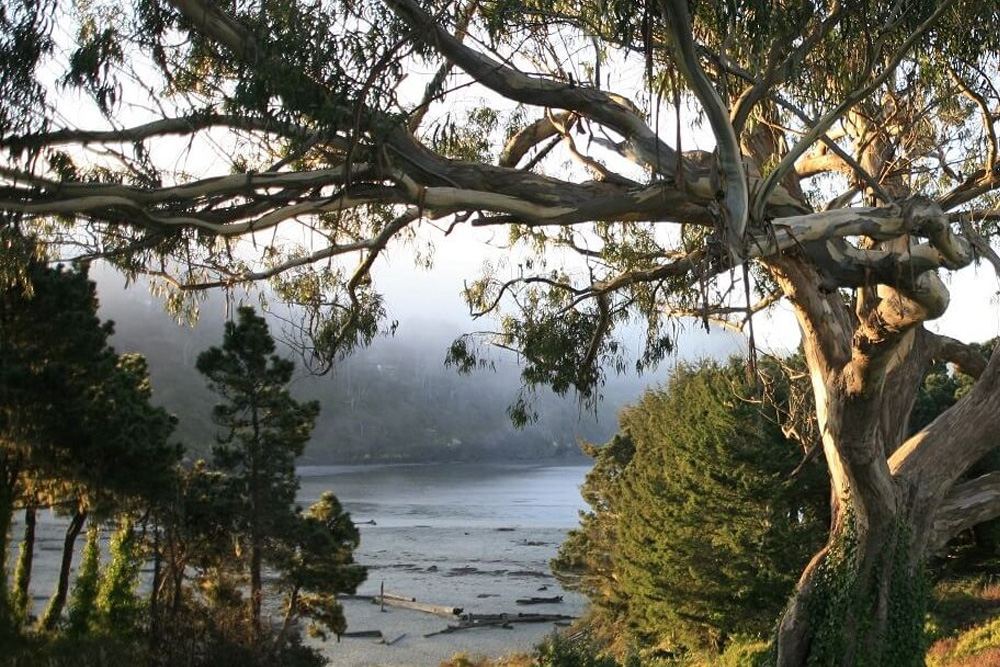 View of Big River Beach from Alegria Oceanfront Inn & Cottages