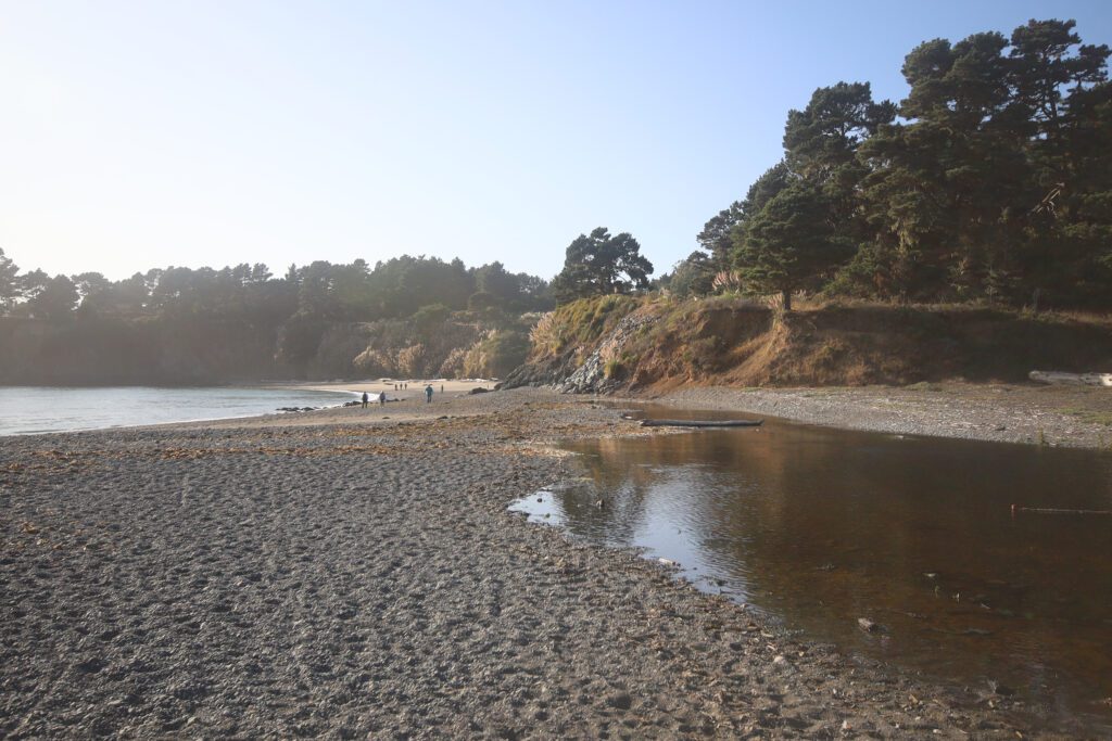 Van Damme State Beach