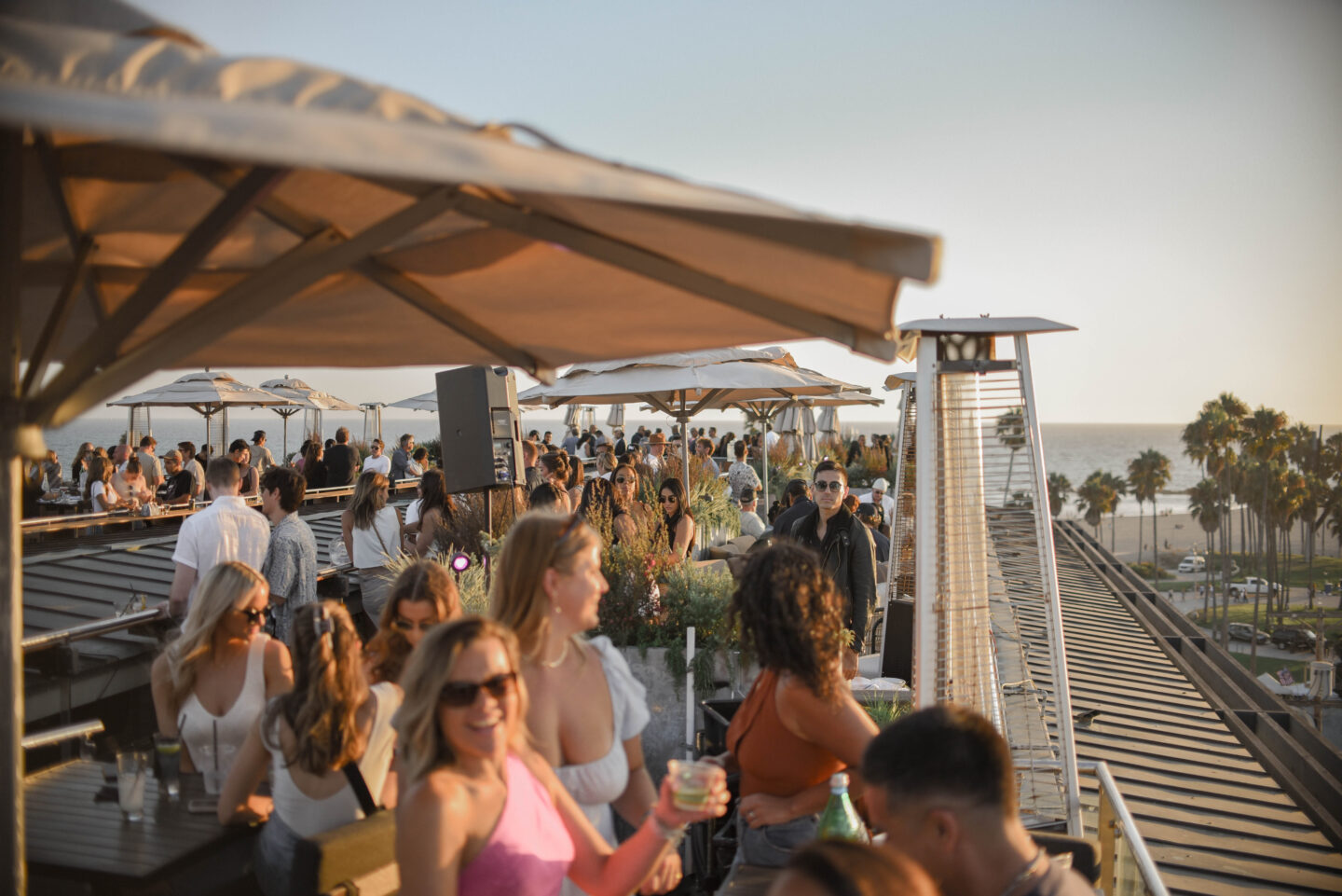 Rooftop bar at Hotel Erwin