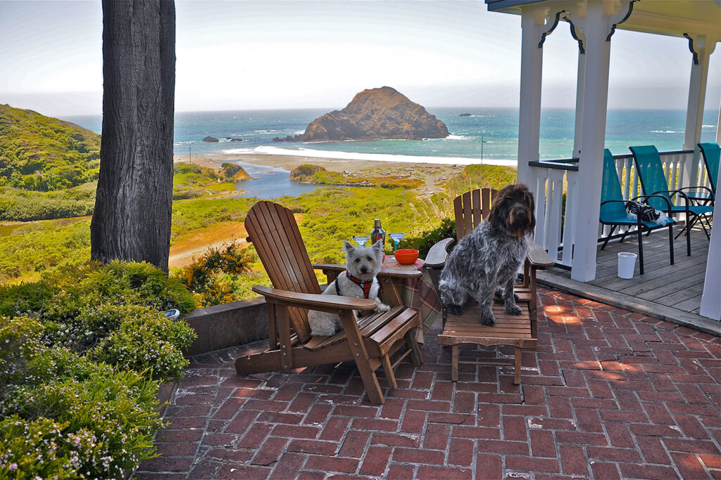 Dogs in adirondacks with an ocean view at Elk Cove Inn & Spa