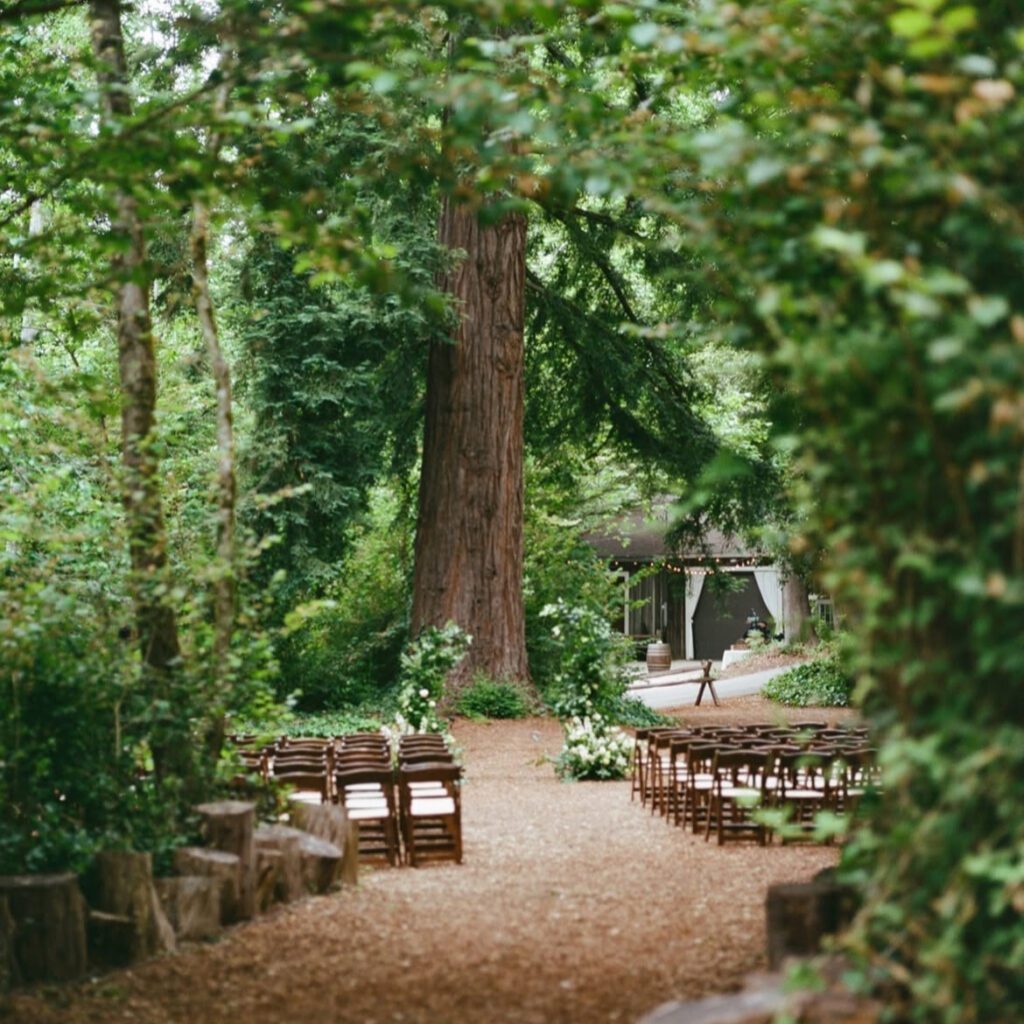 Chairs set up for a wedding in a clearing beneath towering redwood trees.