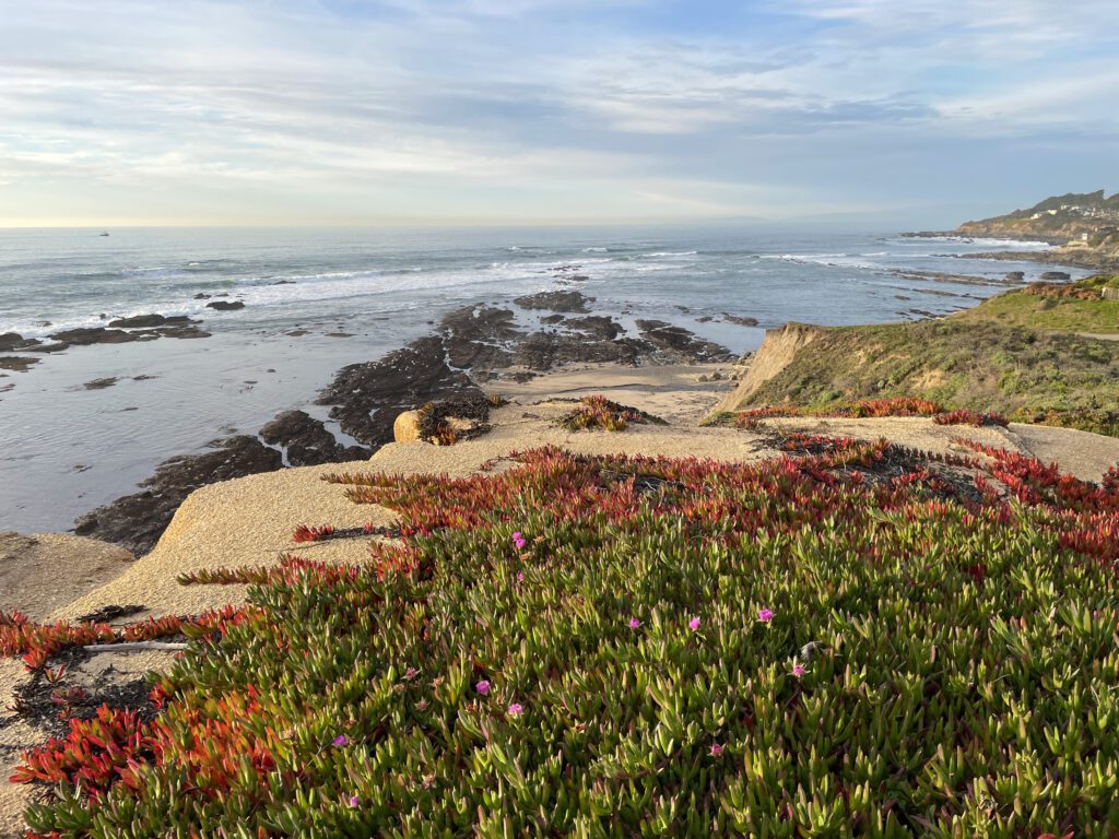 Tide pools at Fitzgerald Marine Preserve