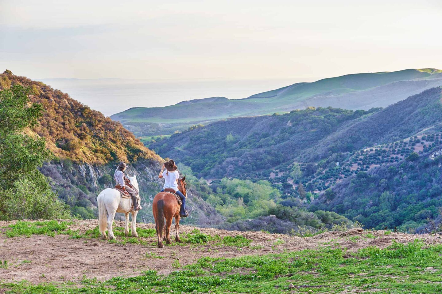 Horseback riding at Circle Bar B
