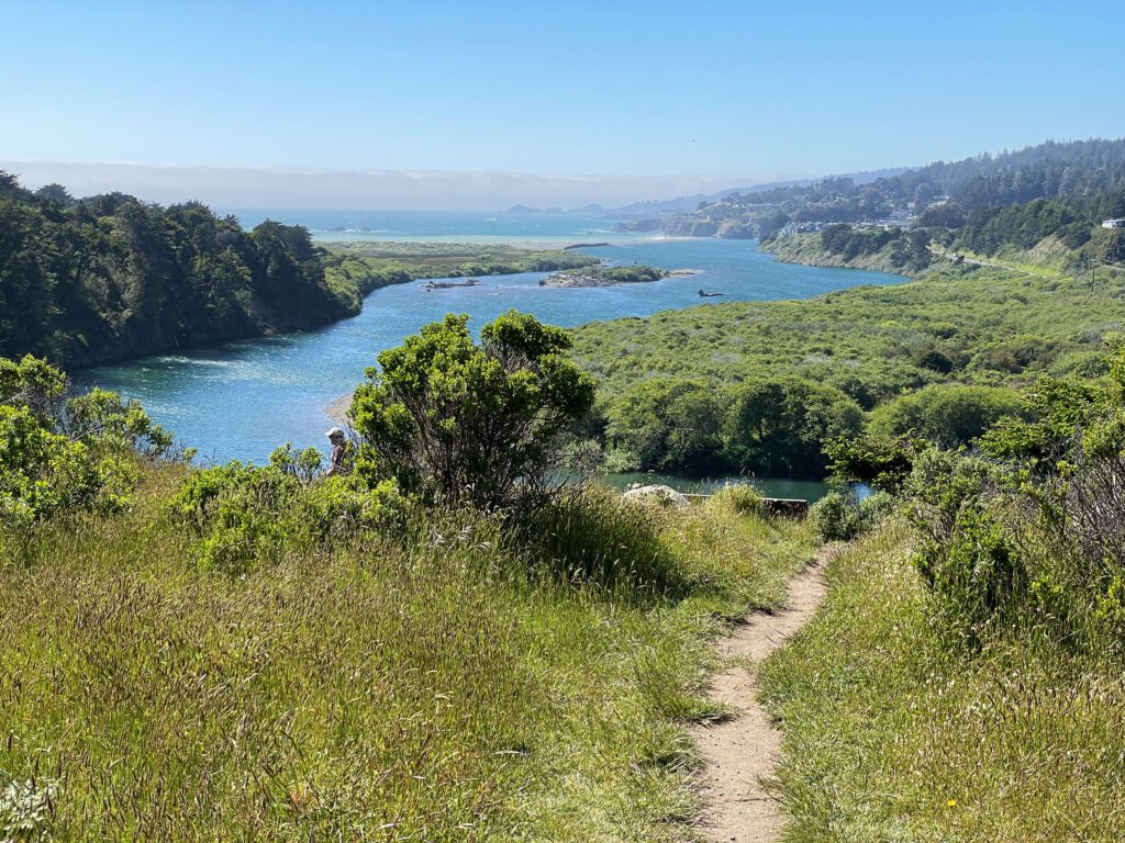 View of the Gualala River from Gualala Point Regional Park