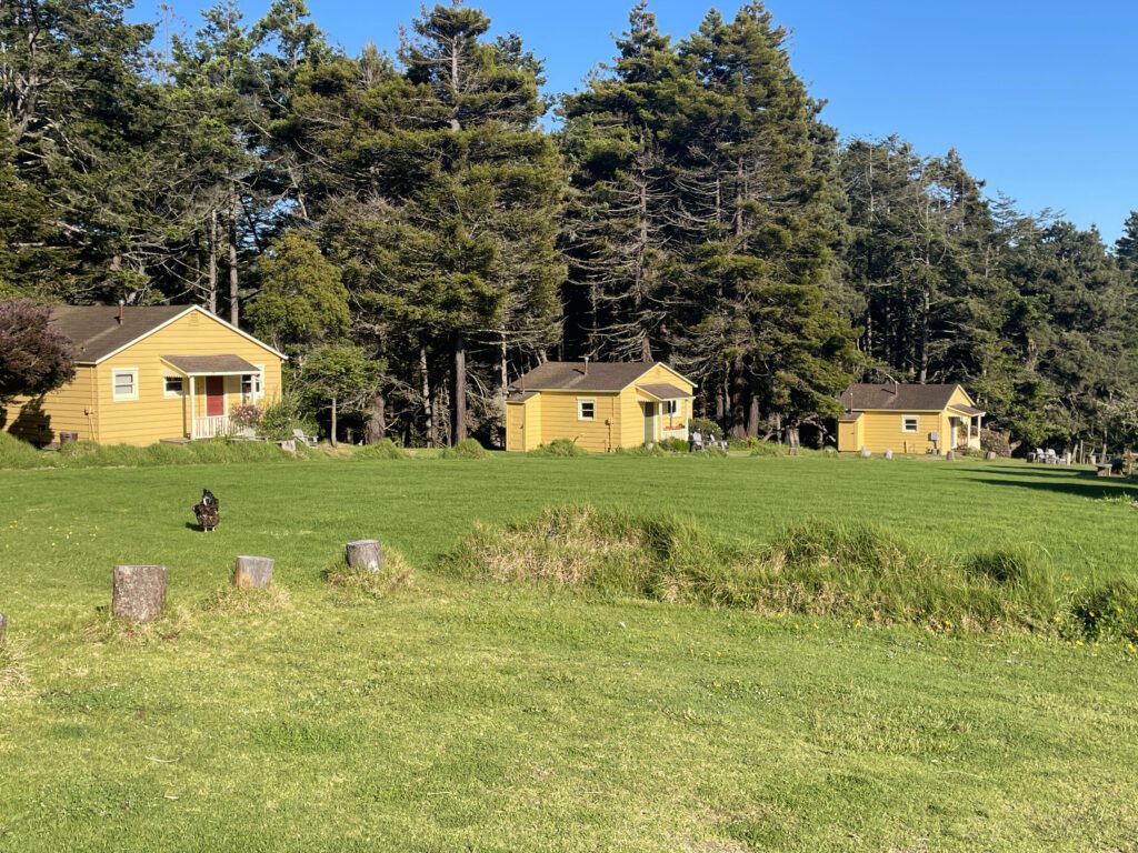 A few of the cottages at Mar Vista Farm + Cottages
