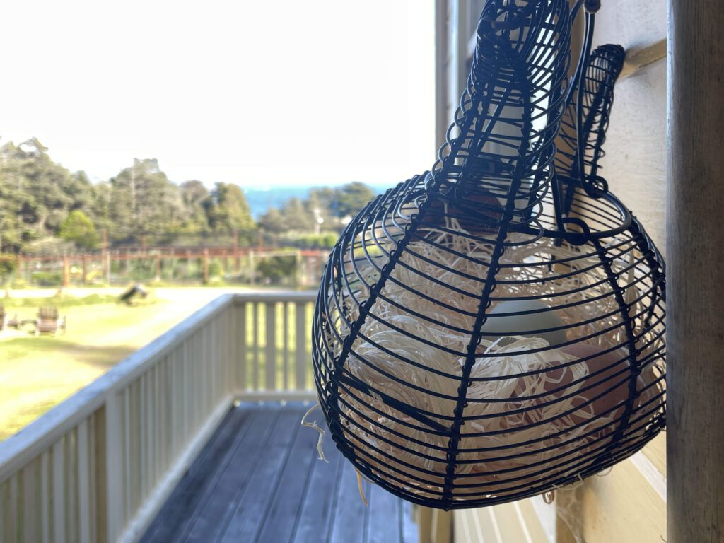 Egg basket hanging outside the cottage door at Mar Vista Farm + Cottages
