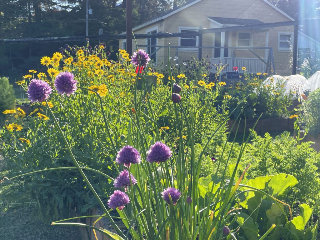 The gardens at Mar Vista Farm + Cottages