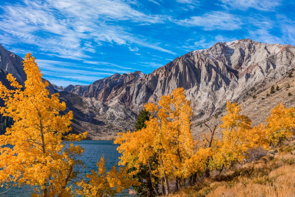 Autumn aspen trees line Convict Lake 