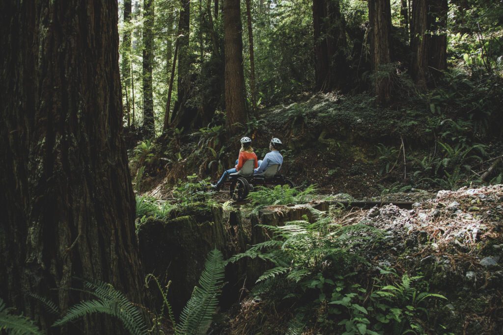 A couple riding rail bike through the redwoods