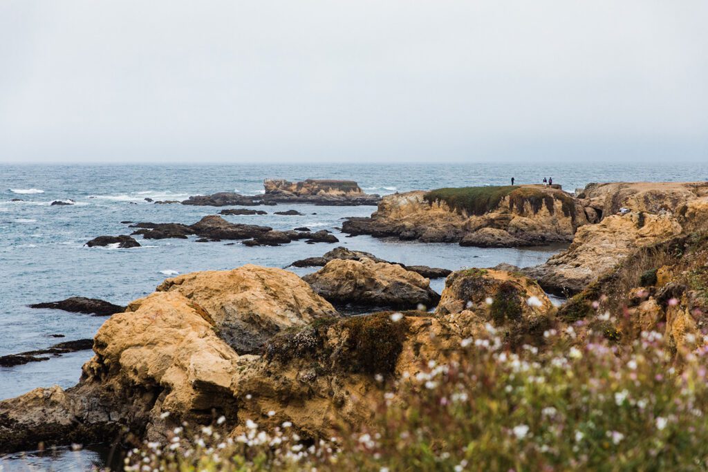 Rugged coastline views from Noyo Headlands Trail