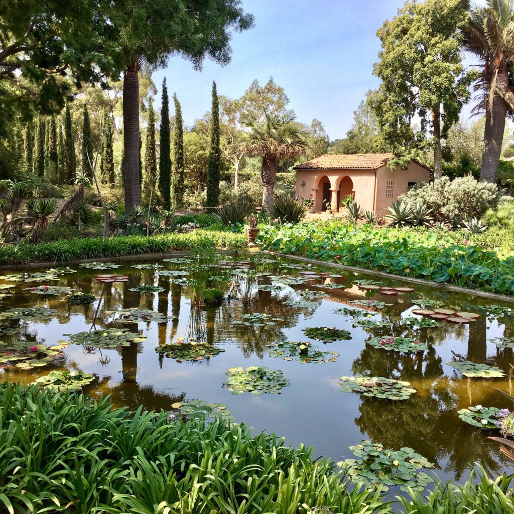 Water Garden at Lotusland