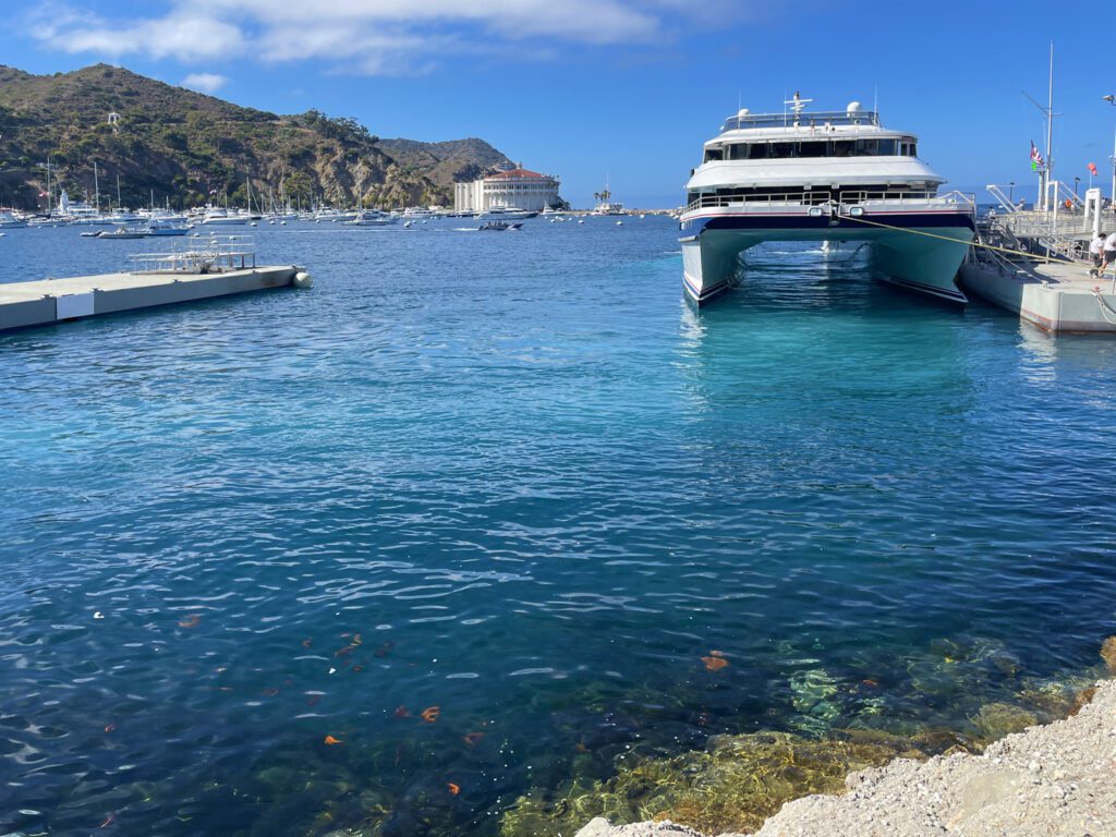 Catalina Express docked in Avalon