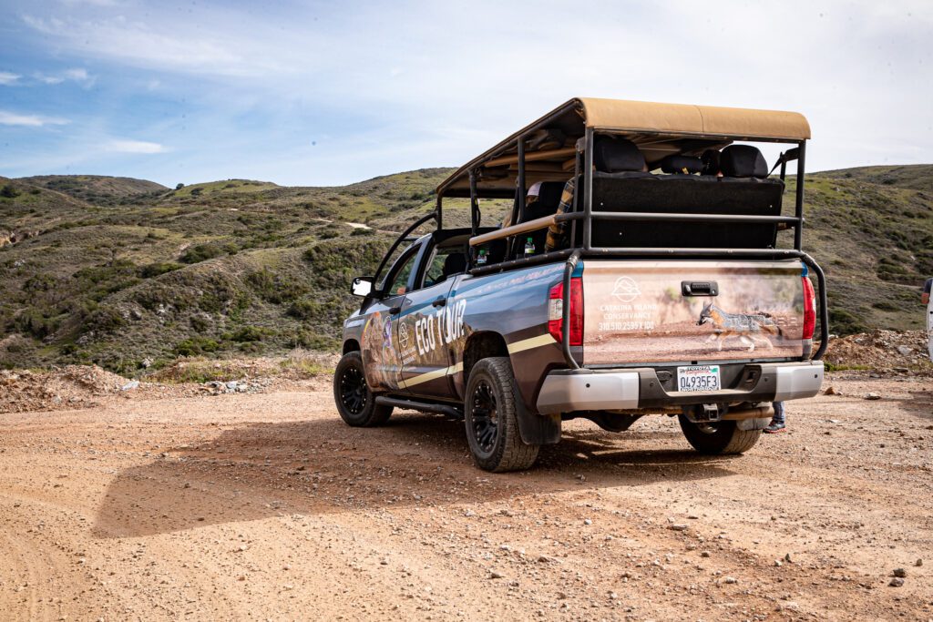 Open air truck used for Catalina Eco Tours driving a dirt road.