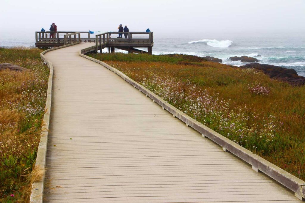 Wooden boardwalks and view point at MacKerricher State Park