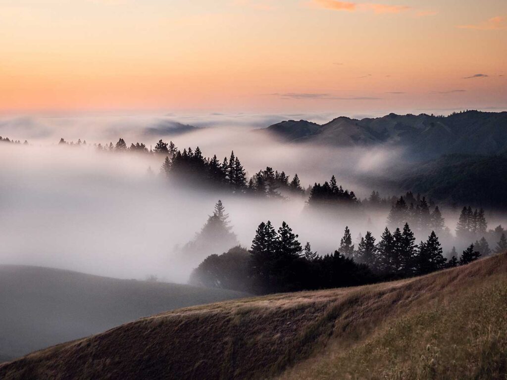 Views from Mount Tamalpais above the fog