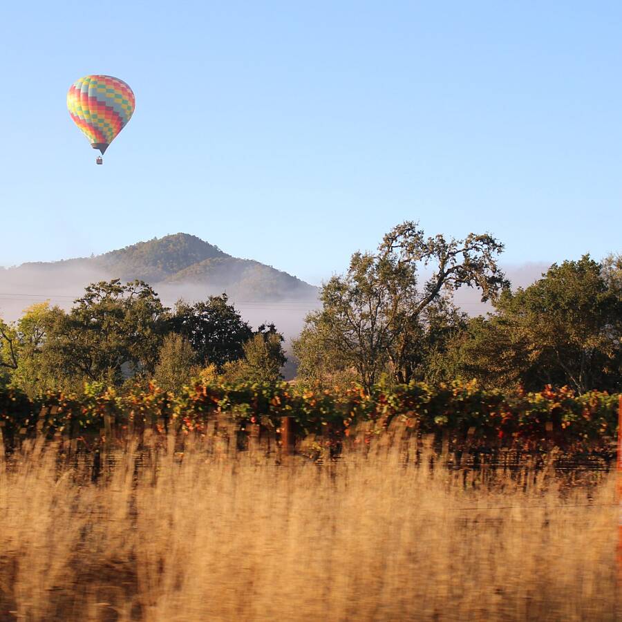 Balloon tours over Sonoma County