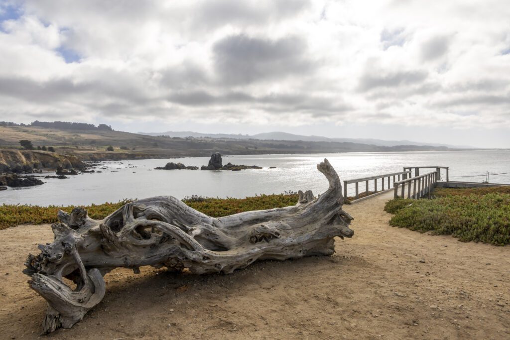Scenic view from Pigeon Point Light Station, showcasing rugged landscapes and tranquil ocean views.
