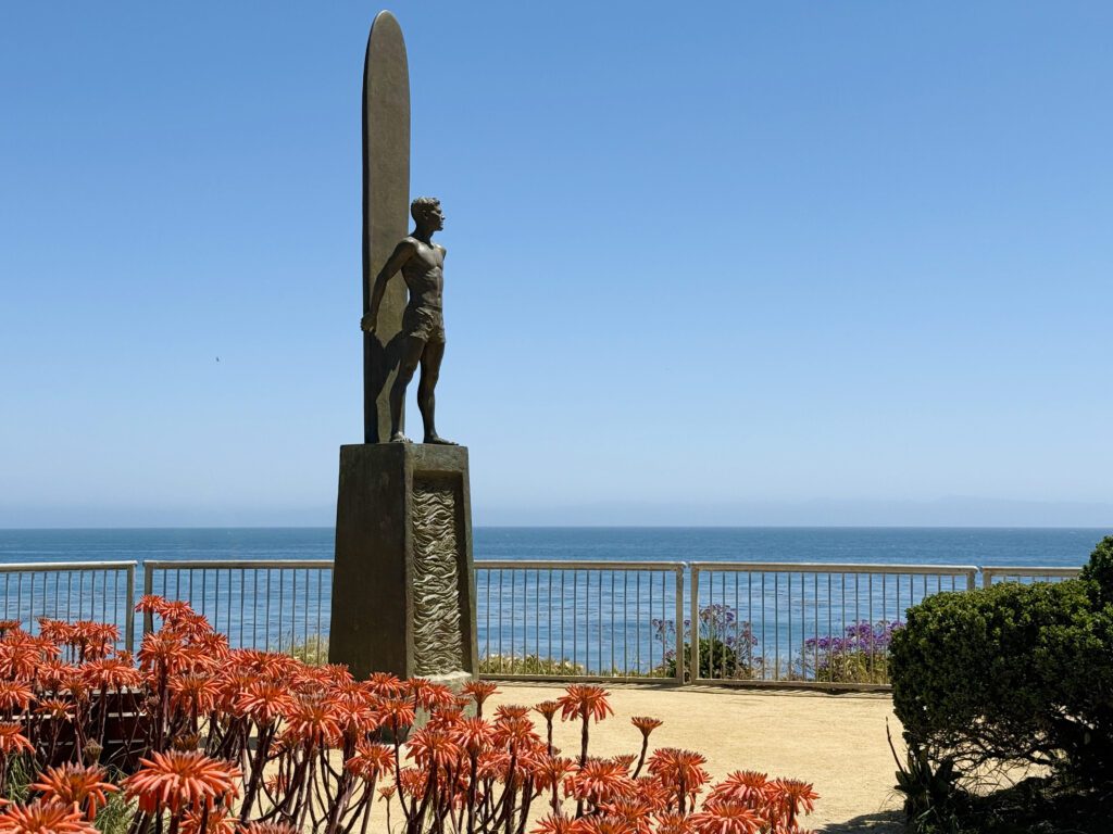 The bronze sculpture of a surfer and his board along West Cliff Drive with flower in the foreground and the ocean in the background.
