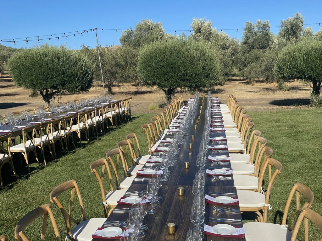 Long dinner table set in an olive orchard at Purple Orchid Wine Country Resport & Spa