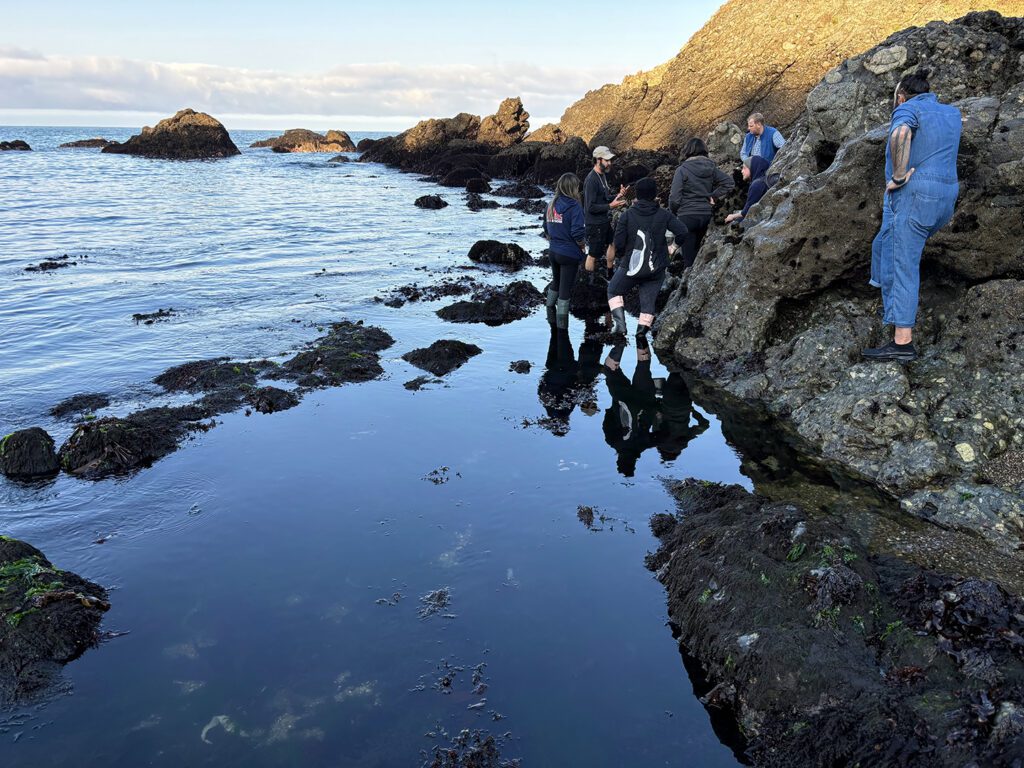 Coastal foraging excursion at Timber Cove Resort