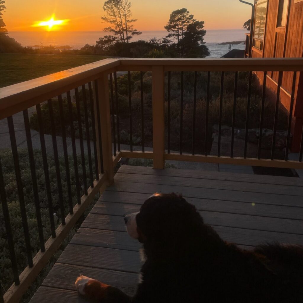 A dog on the deck of a cottage overlooking the ocean at sunset