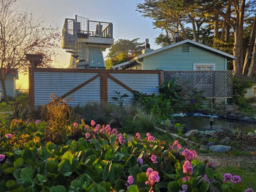 Spring blooms at the Inn at Schoolhouse Creek