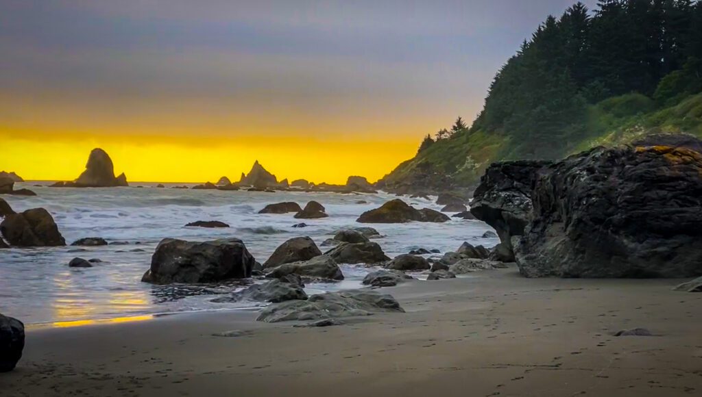 rugged coastline, sea stacks, and forested headlands at sunset
