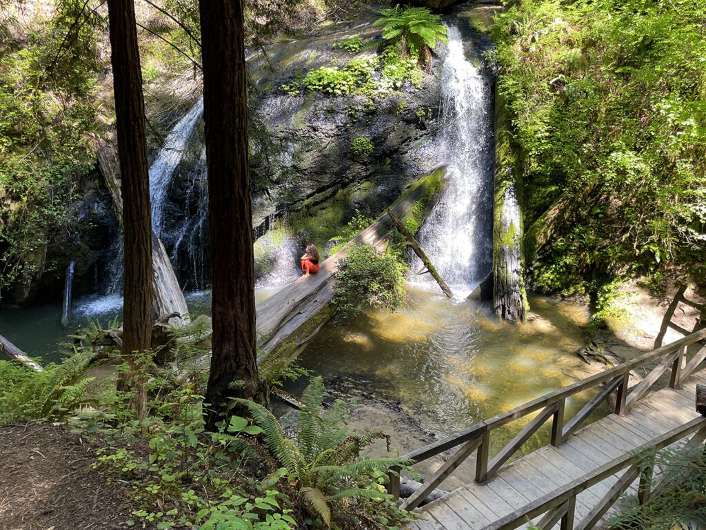 A 35-foot waterfall in the redwoods with a young woman sitting on a log crossing the pool 