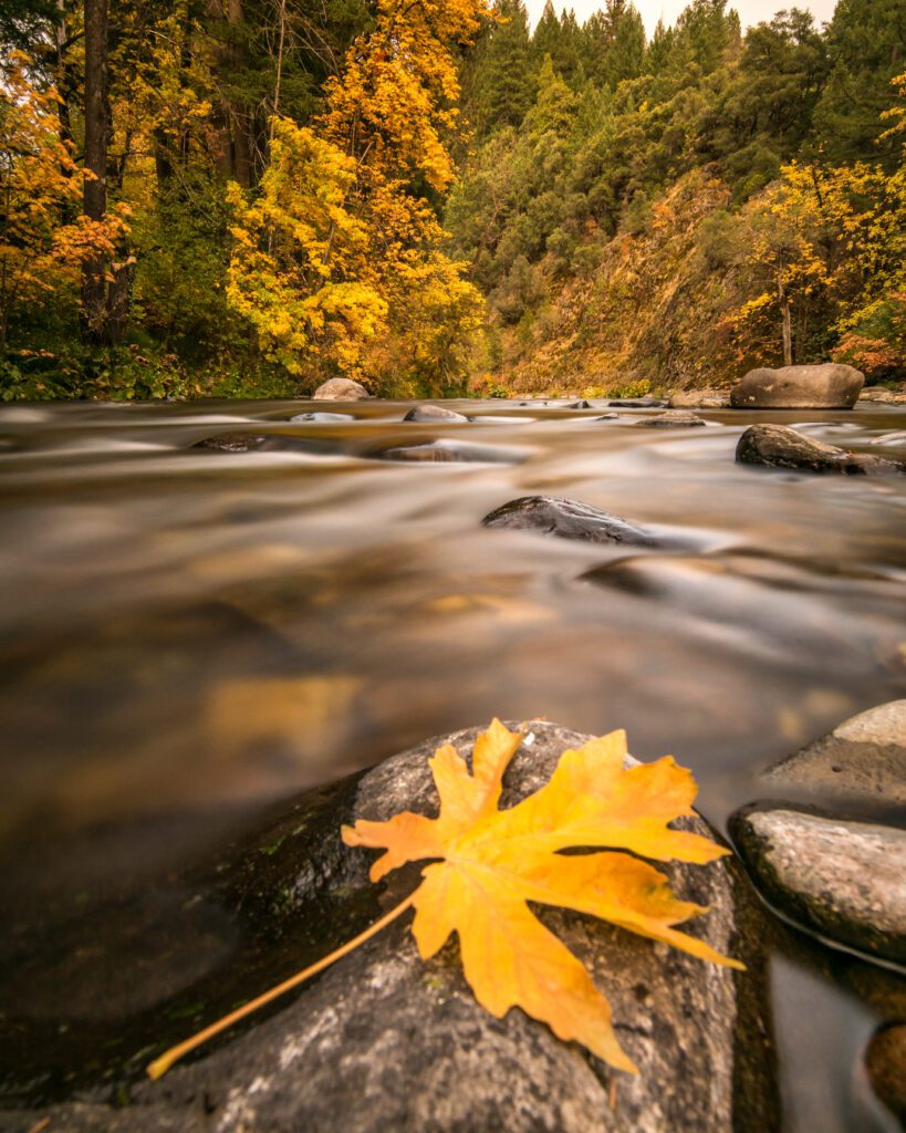long exposure of a river in fall with a yellow leaf on a rock in the foreground